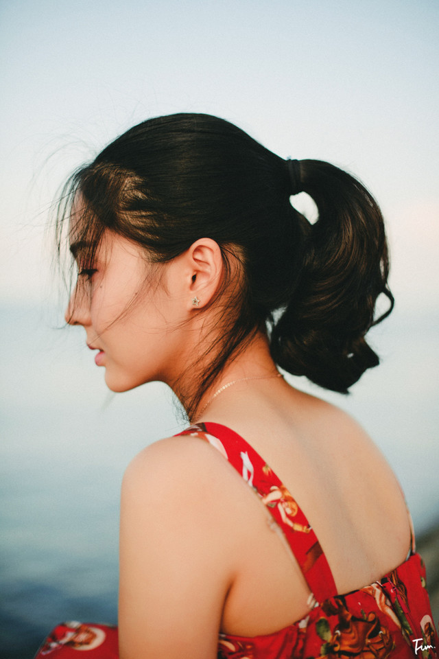 烈焰梧桐
